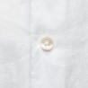 Chemise ajustée petit col en lin unie blanche berteil