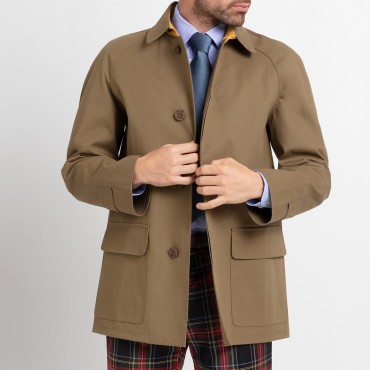 Mcintosh court olive