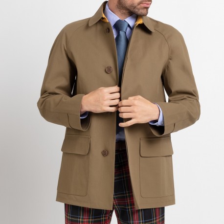 Mcintosh court olive
